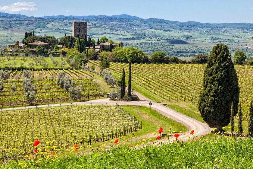 Besøk en eller flere vingårder i Franciacorta