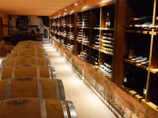 Besøk en eller flere vingårder i Toscana