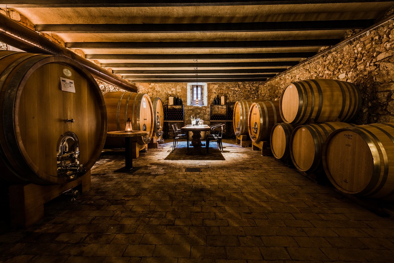 Verona Food And Wine Tour 10 2Italia Food & Wine. Vineyard wine tasting