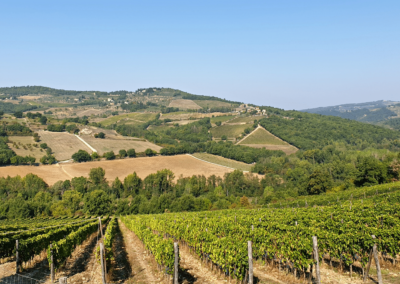 2Italia Chianti and Food & Wine. Chianti rolling hills and vineyards