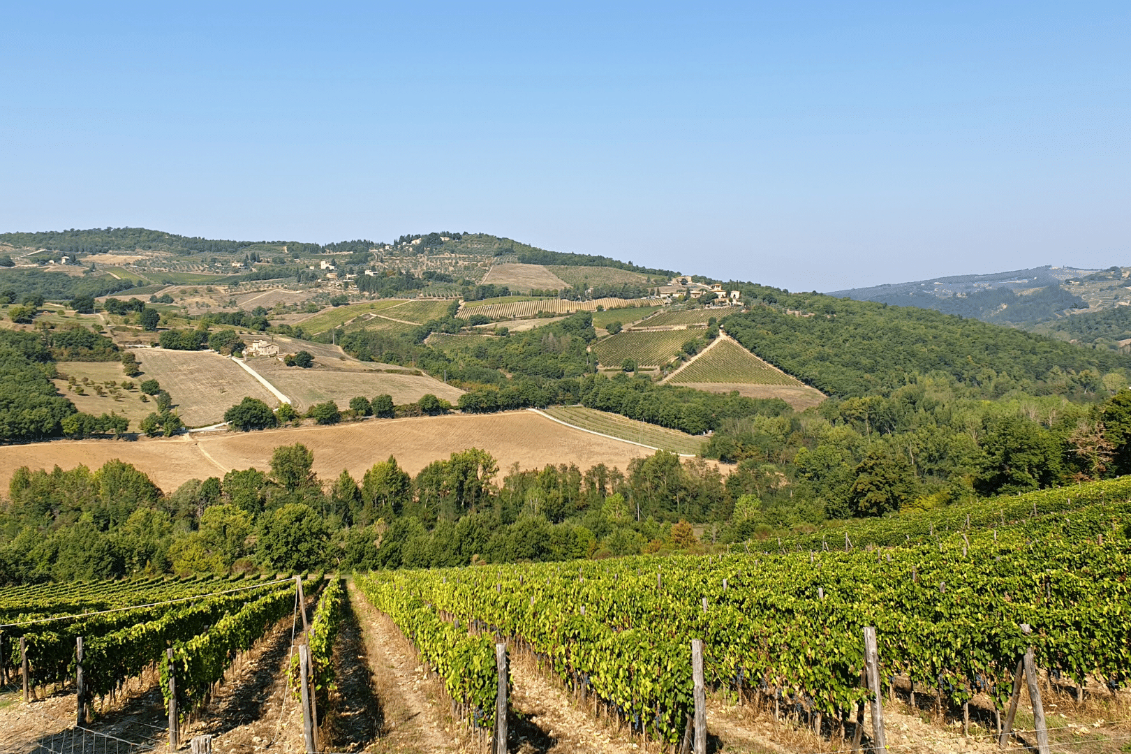 2Italia Chianti and Food & Wine. Chianti rolling hills and vineyards