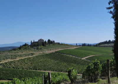 2Italia Chianti and Food & Wine. Chianti rolling hills and vineyards