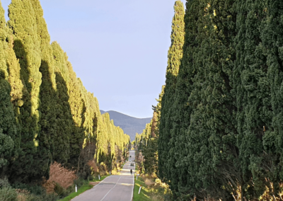 2Italia Bolgheri Food & Wine. Cypress lined roads of Bolgheri