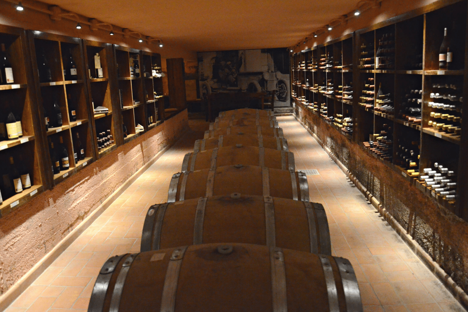 2Italia Food & Wine. Ancient wine cellar visit and winetasting
