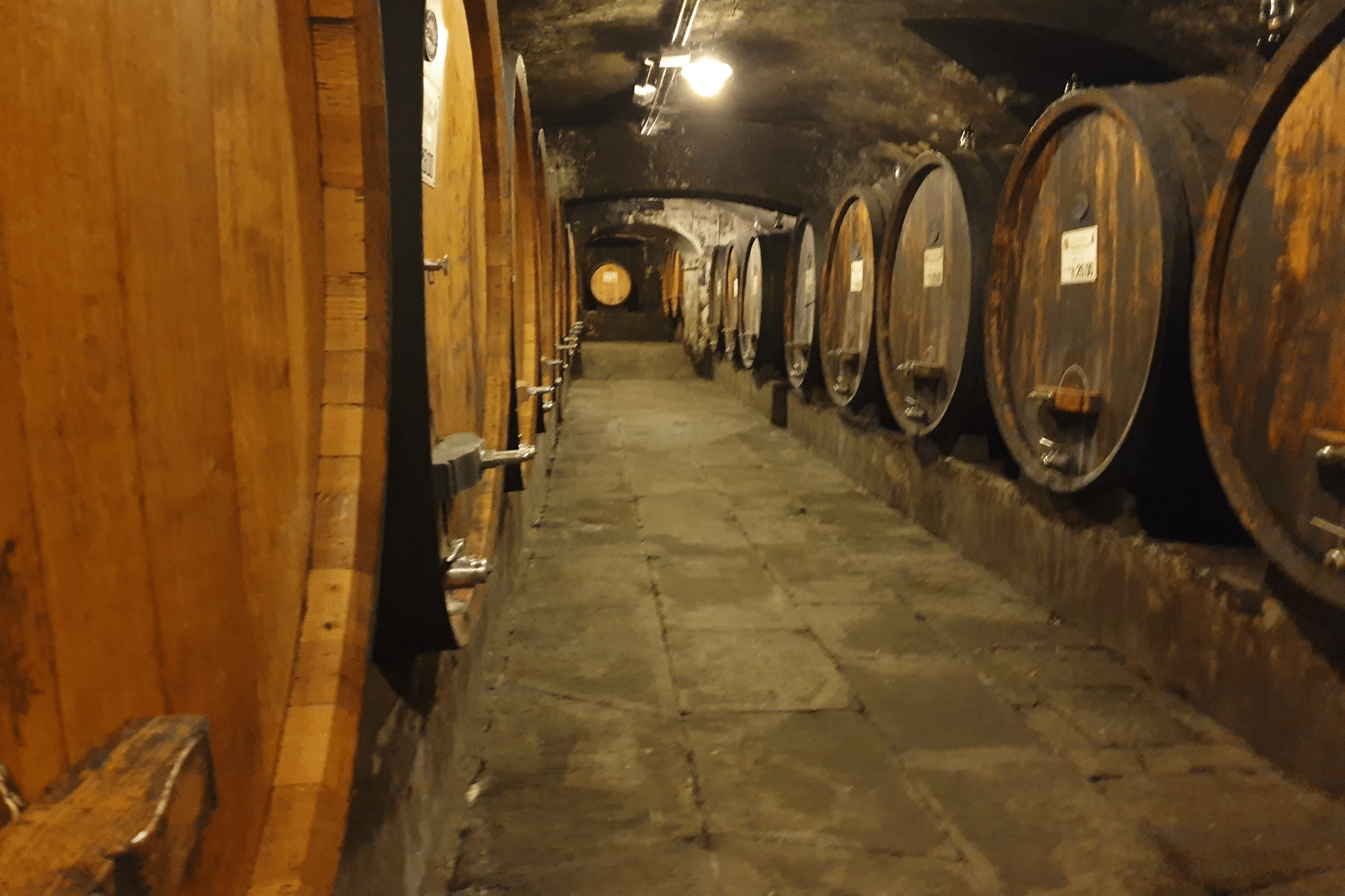 2Italia Food & Wine 2Italia Food & Wine. Ancient wine cellar visit and winetasting