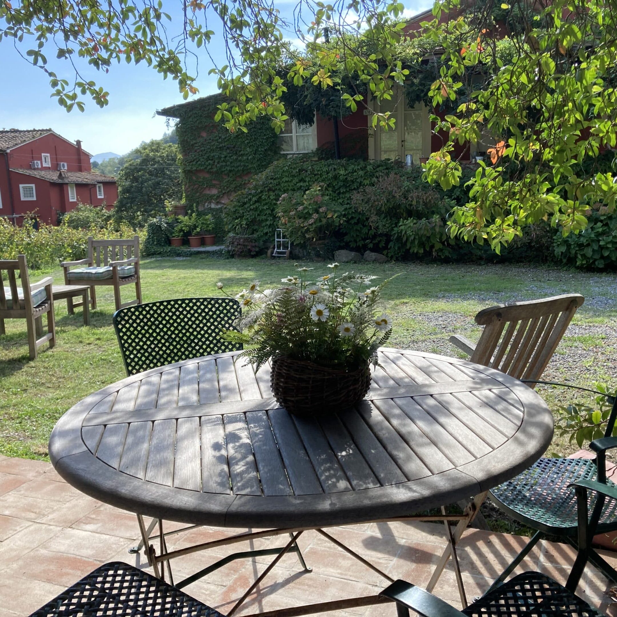 Lunch table outside in vineyard