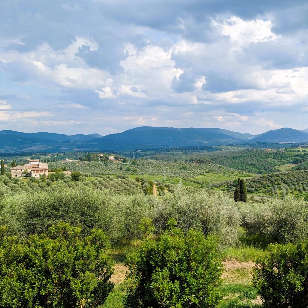 View of green Tuscan landscape