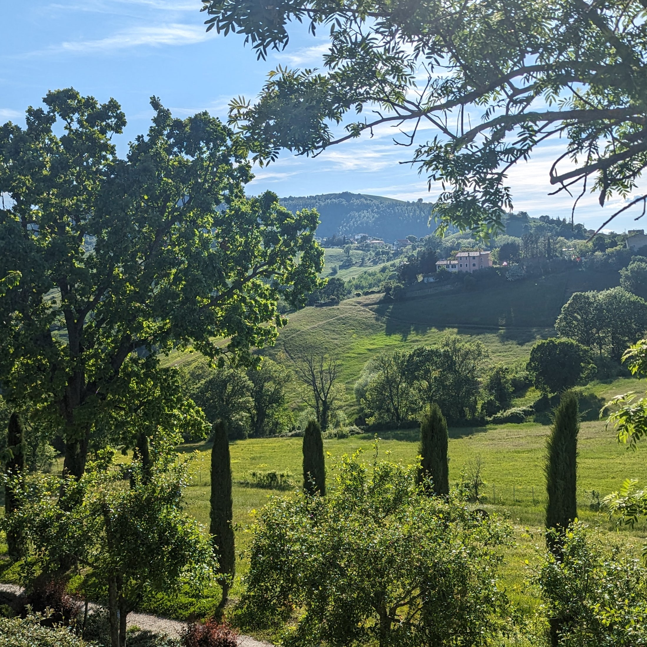 Chianti Day Trip