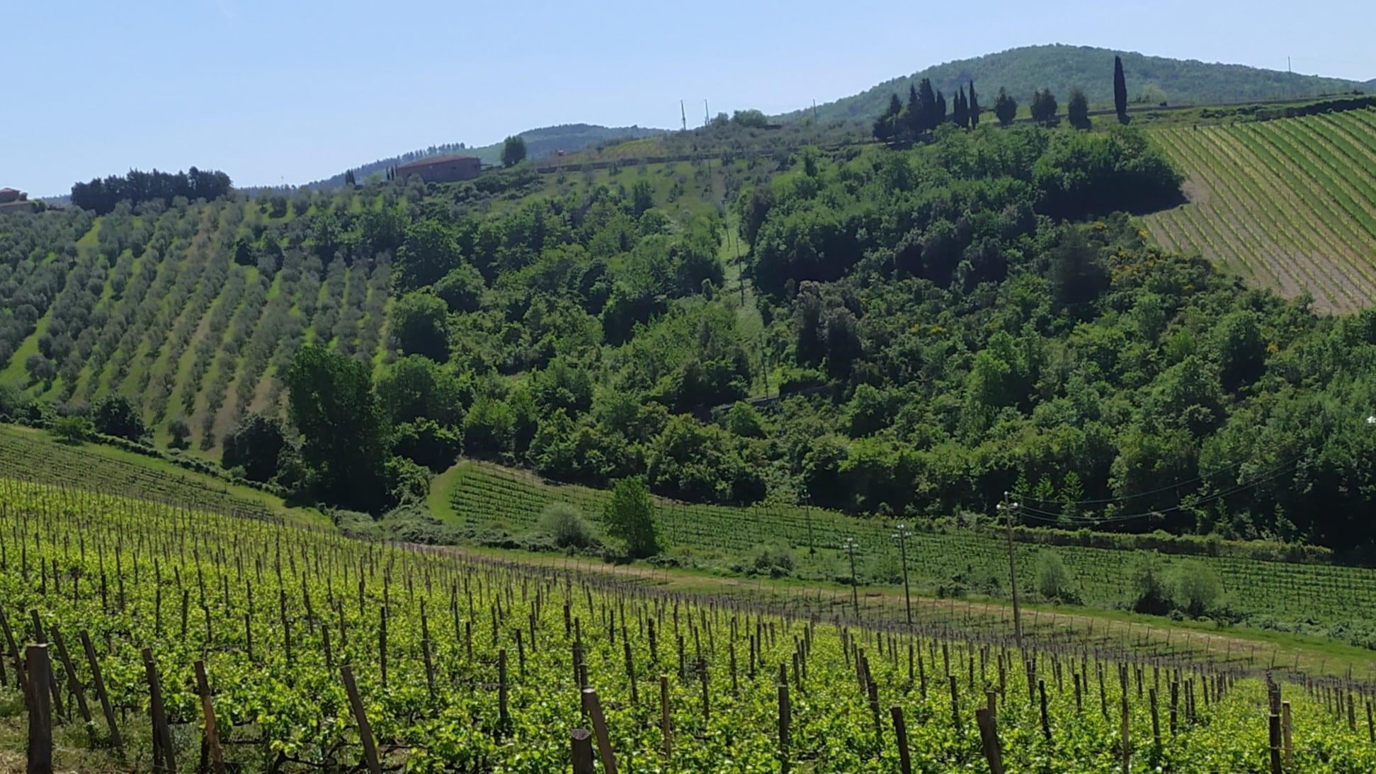 Dreaming of Italy